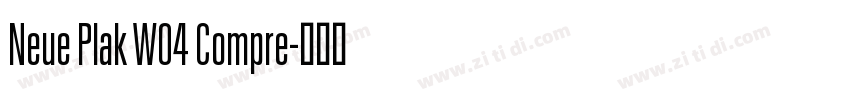 Neue Plak W04 Compre字体转换
